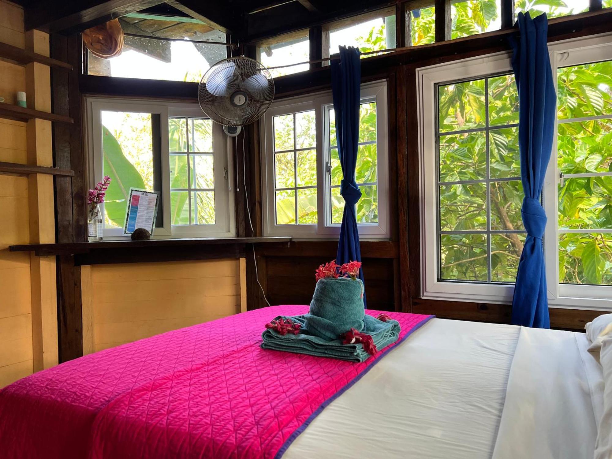 Tesoro Escondido Ecolodge Cabinas Bocas del Toro Room photo